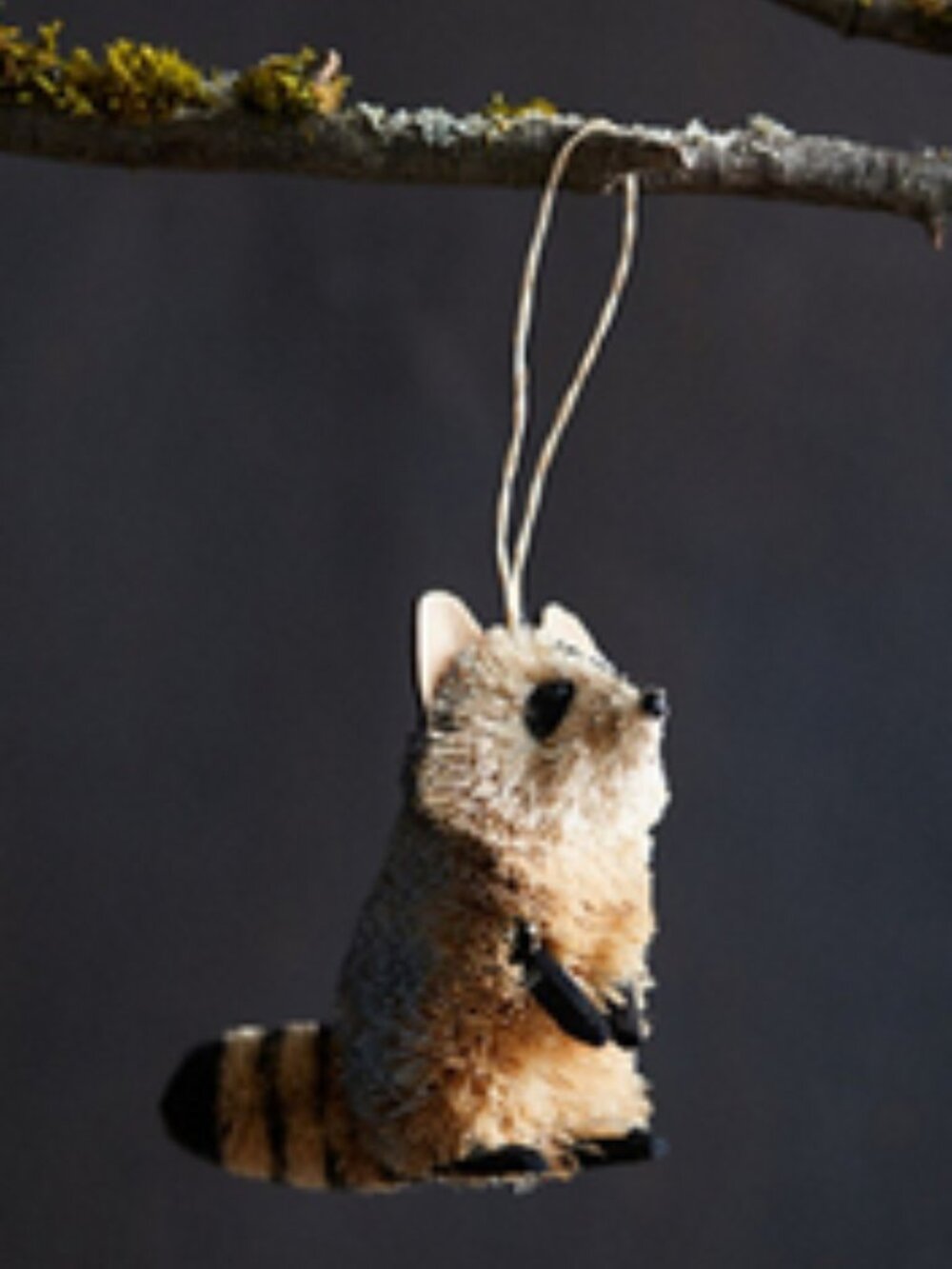 Anthropologie, Set of 3 Coir Woodland Ornaments, Racoon, Ladybug, Squirrel, NWOT
